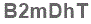 The text to enter in the texbox below is: B2mDhT