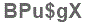 The text to enter in the texbox below is: BPu$gX