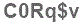 The text to enter in the texbox below is: C0Rq$v