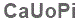 The text to enter in the texbox below is: CaUoPi