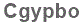 The text to enter in the texbox below is: Cgypbo