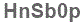 The text to enter in the texbox below is: HnSb0p