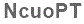 The text to enter in the texbox below is: NcuoPT