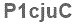 The text to enter in the texbox below is: P1cjuC