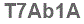 The text to enter in the texbox below is: T7Ab1A