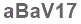 The text to enter in the texbox below is: aBaV17