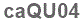 The text to enter in the texbox below is: caQU04