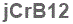 The text to enter in the texbox below is: jCrB12