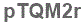 The text to enter in the texbox below is: pTQM2r