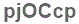 The text to enter in the texbox below is: pjOCcp