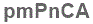 The text to enter in the texbox below is: pmPnCA