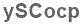 The text to enter in the texbox below is: ySCocp